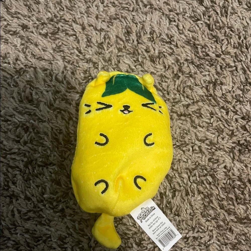 Cats Vs Pickles Sour Puss